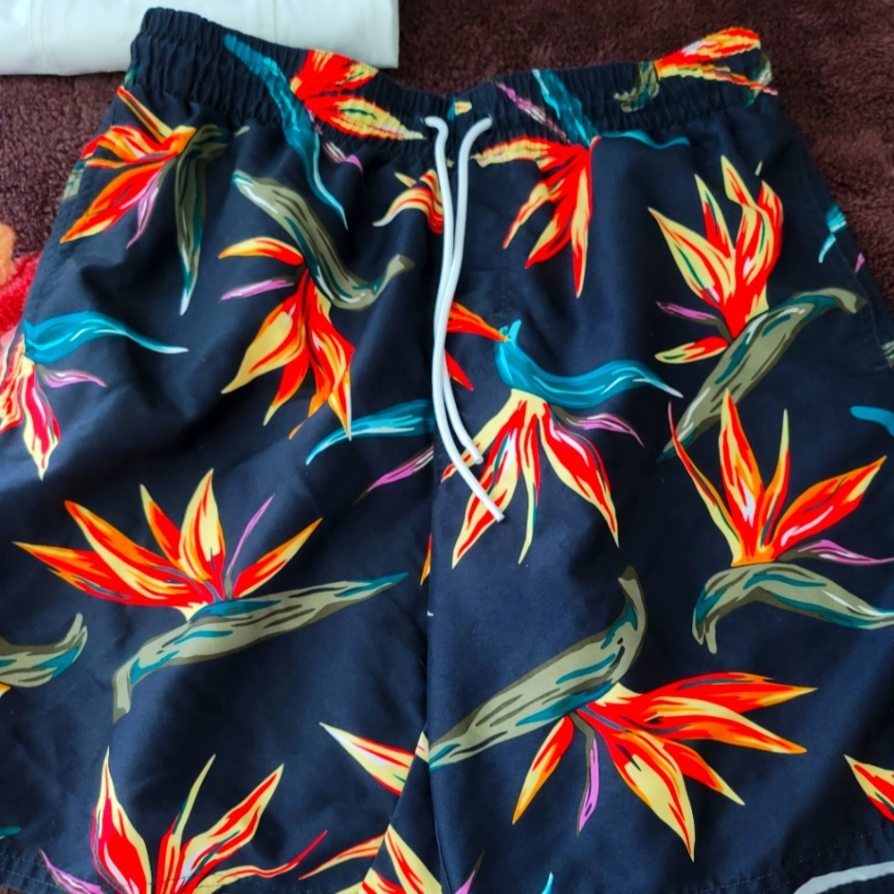 Old Navy men's swimwear